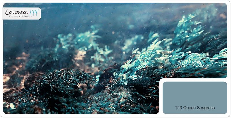 premium-innenfarbe-natur-wandfarbe-blau-tuerkis-wohnzimmer-colours-144-ocean-seagras